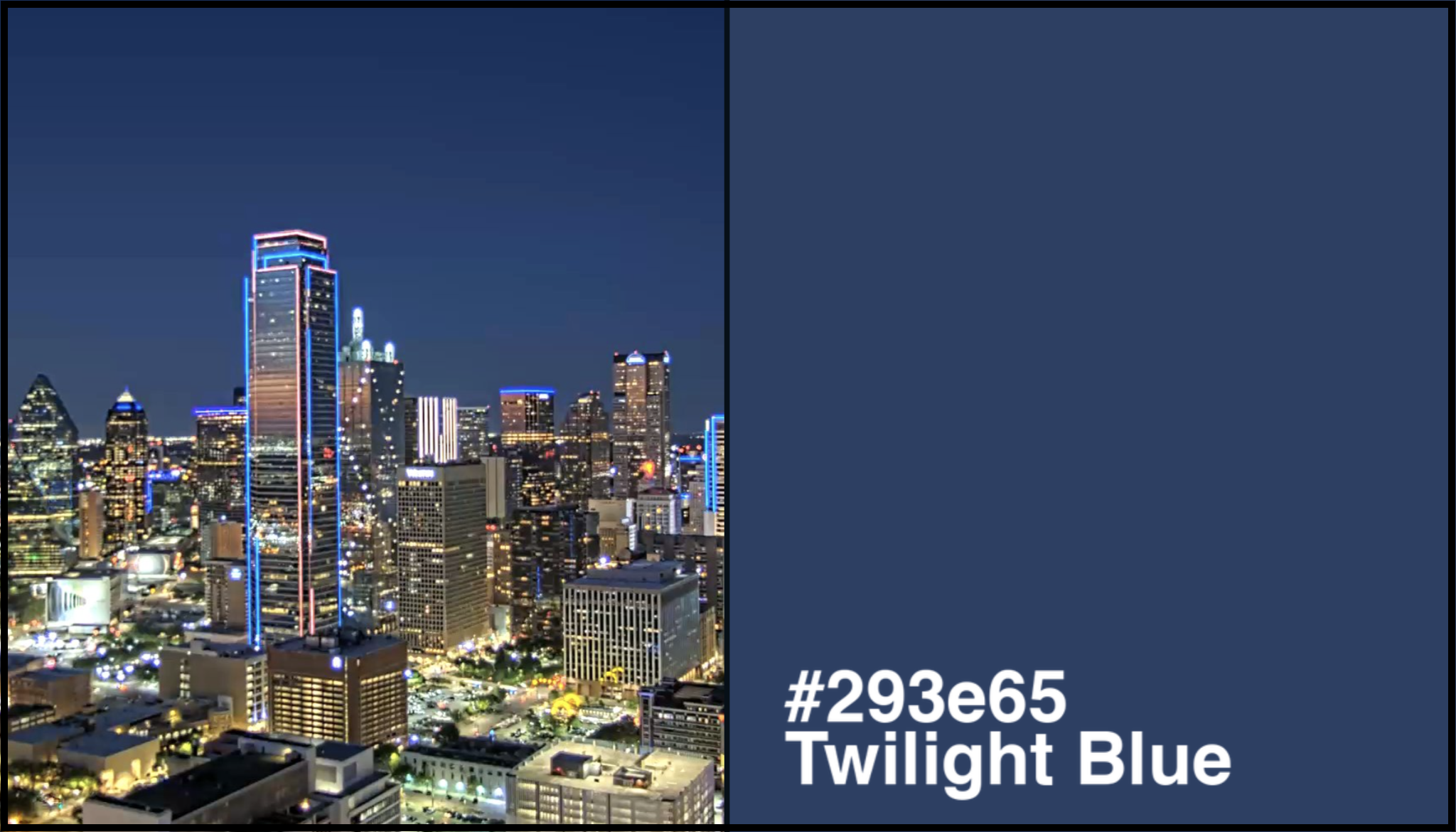 dallas-skybot